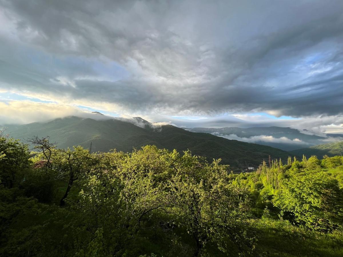 Balkonchik Guesthouse Dilijan Exterior photo